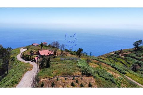 Helårsgrund i Calheta, Madeira, Calheta - € 105.000 | Ref: Wolf_018 - foto 12