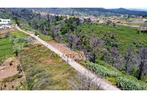 Helårsgrund i Calheta, Madeira, Calheta - € 105.000 | Ref: Wolf_018 - foto 13