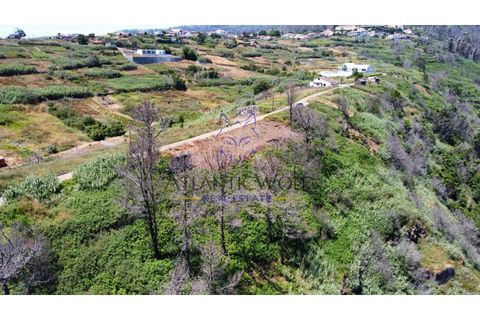 Helårsgrund i Calheta, Madeira, Calheta - € 105.000 | Ref: Wolf_018 - foto 14