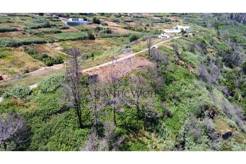 Helårsgrund i Calheta, Madeira, Calheta - € 105.000 | Ref: Wolf_018 - foto 15