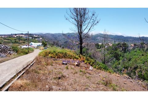 Helårsgrund i Calheta, Madeira, Calheta - € 105.000 | Ref: Wolf_018 - foto 16