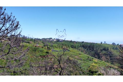 Helårsgrund i Calheta, Madeira, Calheta - € 105.000 | Ref: Wolf_018 - foto 17