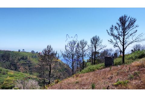 Helårsgrund i Calheta, Madeira, Calheta - € 105.000 | Ref: Wolf_018 - foto 18