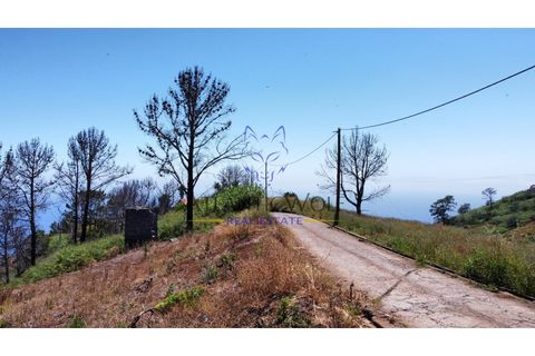 Helårsgrund i Calheta, Madeira, Calheta - € 105.000 | Ref: Wolf_018 - foto 19