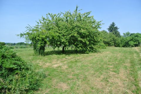 Villa i Beaupuy, Lot-et-Garonne, Beaupuy - € 165.850 | Ref: 4440 - foto 3