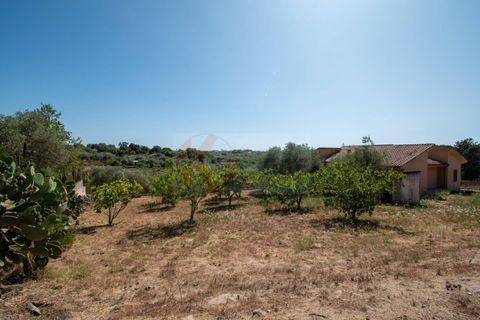 Villa a Sassari, Sassari, Sassari - € 349.000 | Ref: 13773 - foto 40