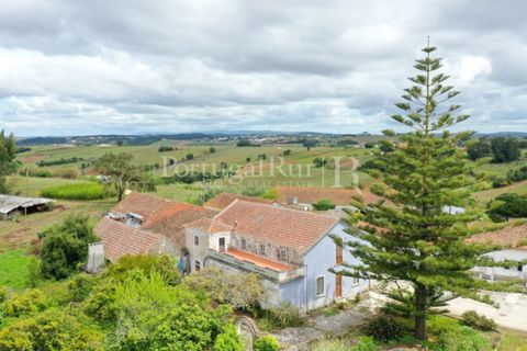 Farm i Carvalhal, Leiria, Carvalhal - € 895.000 | Ref: 3190 - foto 2