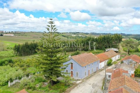 Farm i Carvalhal, Leiria, Carvalhal - € 895.000 | Ref: 3190 - foto 4