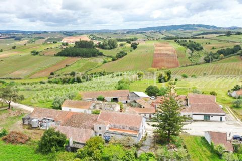 Farm i Carvalhal, Leiria, Carvalhal - € 895.000 | Ref: 3190 - foto 5