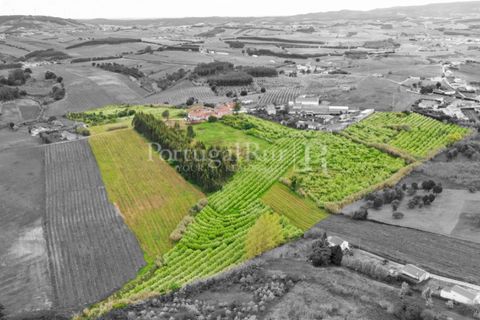 Farm i Carvalhal, Leiria, Carvalhal - € 895.000 | Ref: 3190 - foto 8