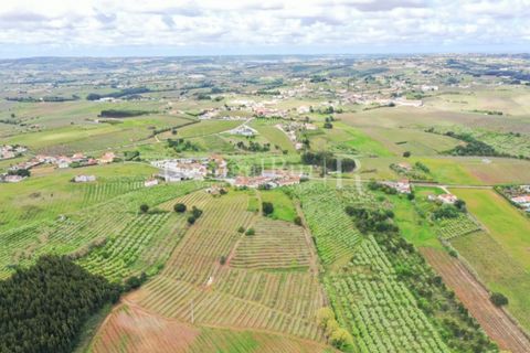 Farm i Carvalhal, Leiria, Carvalhal - € 895.000 | Ref: 3190 - foto 9