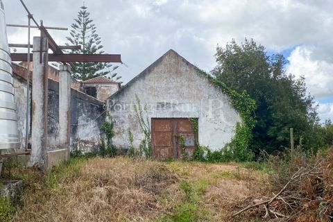 Farm i Carvalhal, Leiria, Carvalhal - € 895.000 | Ref: 3190 - foto 28