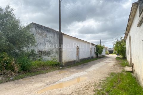 Farm i Carvalhal, Leiria, Carvalhal - € 895.000 | Ref: 3190 - foto 29