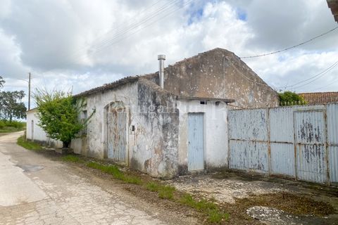 Farm i Carvalhal, Leiria, Carvalhal - € 895.000 | Ref: 3190 - foto 31