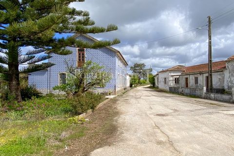 Farm i Carvalhal, Leiria, Carvalhal - € 895.000 | Ref: 3190 - foto 33