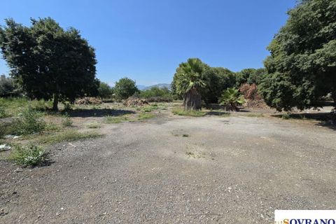 Terra a Palermo, Palermo, Palermo - € 6.000/mes | Ref: 96/25 - foto 5