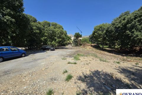 Terra a Palermo, Palermo, Palermo - € 6.000/mes | Ref: 96/25 - foto 6