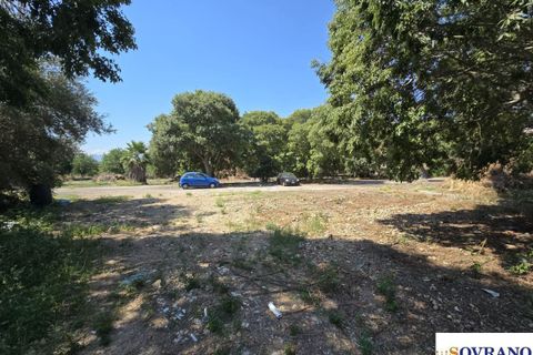 Terra a Palermo, Palermo, Palermo - € 6.000/mes | Ref: 96/25 - foto 9