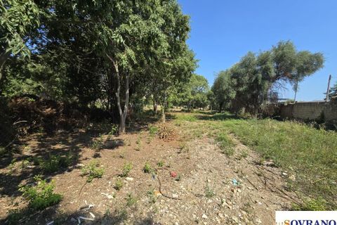 Terra a Palermo, Palermo, Palermo - € 6.000/mes | Ref: 96/25 - foto 10