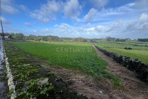 Terra a Fontinhas, Terceira, Fontinhas - € 90.000 | Ref: C0423-00479 - foto 3