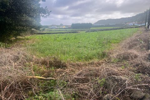 Terra a Fontinhas, Terceira, Fontinhas - € 90.000 | Ref: C0423-00479 - foto 4