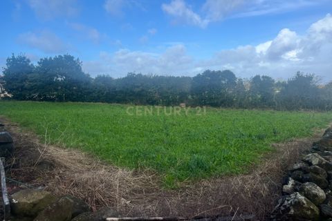 Terra a Fontinhas, Terceira, Fontinhas - € 90.000 | Ref: C0423-00479 - foto 6