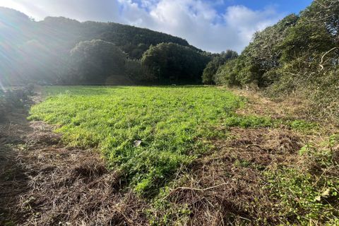 Terra a Fontinhas, Terceira, Fontinhas - € 80.000 | Ref: C0423-00480 - foto 2