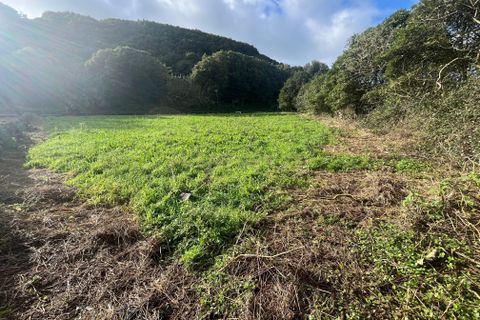 Terra a Fontinhas, Terceira, Fontinhas - € 80.000 | Ref: C0423-00480 - foto 3