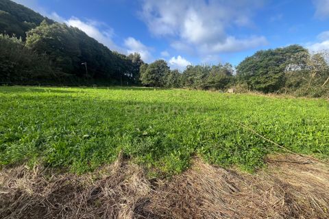 Terra a Fontinhas, Terceira, Fontinhas - € 80.000 | Ref: C0423-00480 - foto 4