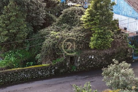 Tomt i Terra Cha, Terceira, Terra Cha - € 110 000 | Ref: C0423-00491 - foto 2