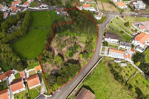 Tomt i Terra Cha, Terceira, Terra Cha - € 110 000 | Ref: C0423-00491 - foto 10