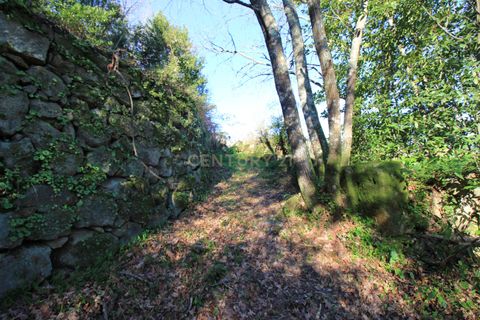 Villa i Penafiel, Porto, Penafiel - € 98.000 | Ref: C0188-01709 - foto 14