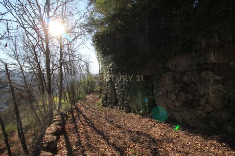 Villa i Penafiel, Porto, Penafiel - € 98.000 | Ref: C0188-01709 - foto 15