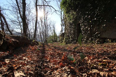 Villa i Penafiel, Porto, Penafiel - € 98.000 | Ref: C0188-01709 - foto 16