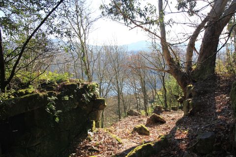 Villa i Penafiel, Porto, Penafiel - € 98.000 | Ref: C0188-01709 - foto 20
