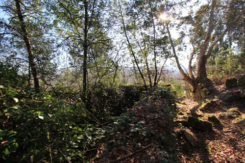 Villa i Penafiel, Porto, Penafiel - € 98.000 | Ref: C0188-01709 - foto 21