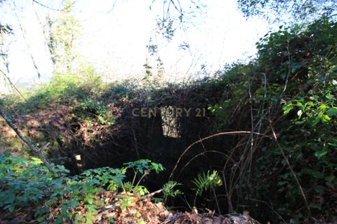 Villa i Penafiel, Porto, Penafiel - € 98.000 | Ref: C0188-01709 - foto 22