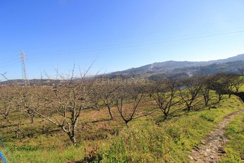 Villa i Penafiel, Porto, Penafiel - € 98.000 | Ref: C0188-01709 - foto 28