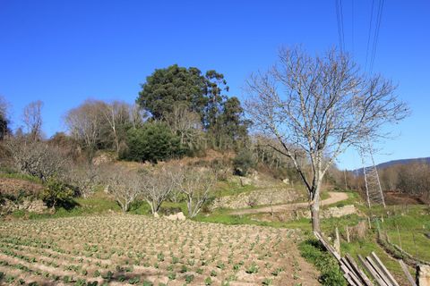 Villa i Penafiel, Porto, Penafiel - € 98.000 | Ref: C0188-01709 - foto 31