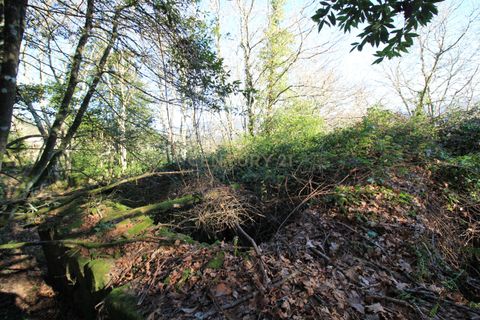 Villa i Penafiel, Porto, Penafiel - € 98.000 | Ref: C0188-01709 - foto 32