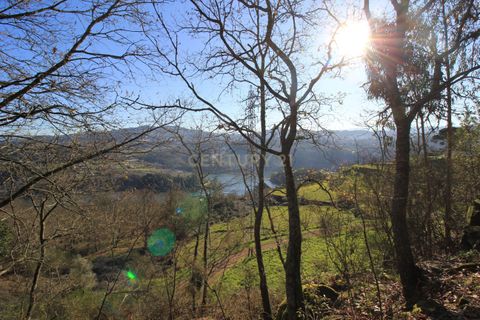 Villa i Penafiel, Porto, Penafiel - € 98.000 | Ref: C0188-01709 - foto 34