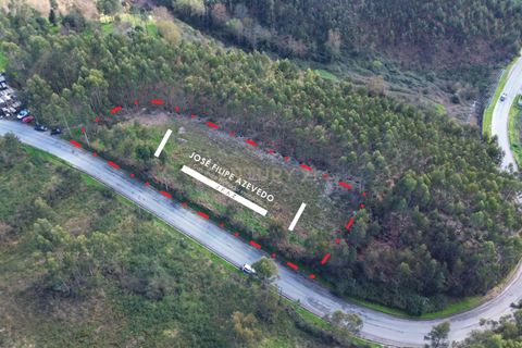 Helårsgrund i Paredes, Porto, Paredes - € 460.000 | Ref: C0188-01847 - foto 2