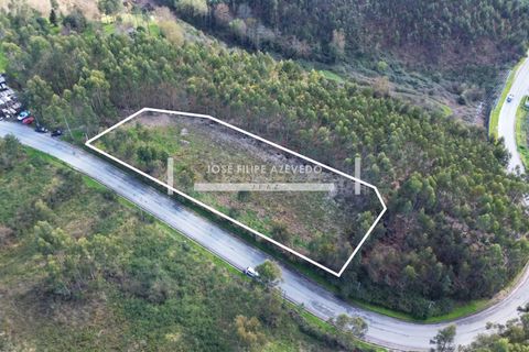 Helårsgrund i Paredes, Porto, Paredes - € 460.000 | Ref: C0188-01847 - foto 4