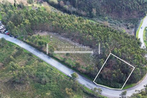Helårsgrund i Paredes, Porto, Paredes - € 460.000 | Ref: C0188-01847 - foto 5