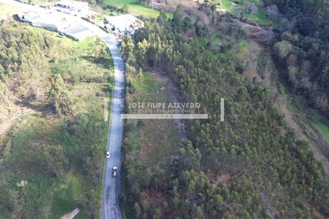 Helårsgrund i Paredes, Porto, Paredes - € 460.000 | Ref: C0188-01847 - foto 6