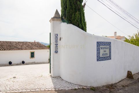 Farm hus i Mafra, Lisbon, Mafra - € 1.250.000 | Ref: C0444-00406 - foto 4