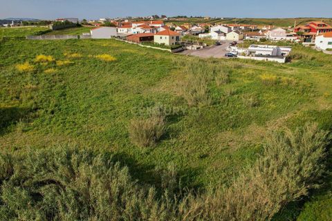 Erhvervsejendom i Mafra, Lisbon, Mafra - € 1.200.000 | Ref: C0444-00407 - foto 6