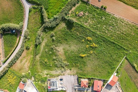 Erhvervsejendom i Mafra, Lisbon, Mafra - € 1.200.000 | Ref: C0444-00407 - foto 9