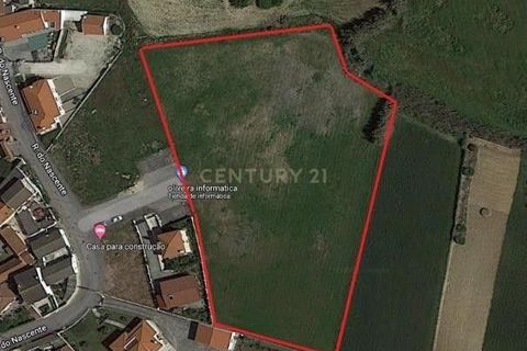 Erhvervsejendom i Mafra, Lisbon, Mafra - € 1.200.000 | Ref: C0444-00407 - foto 17