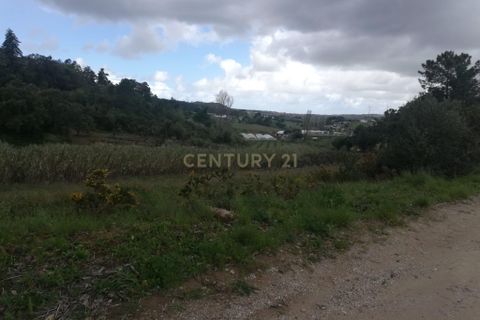Helårsgrund i Torres Vedras, Lisbon, Torres Vedras - € 39.000 | Ref: C0444-00629 - foto 3